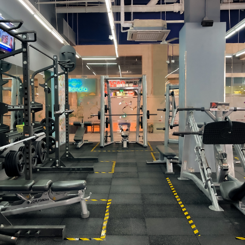 Gimnasio